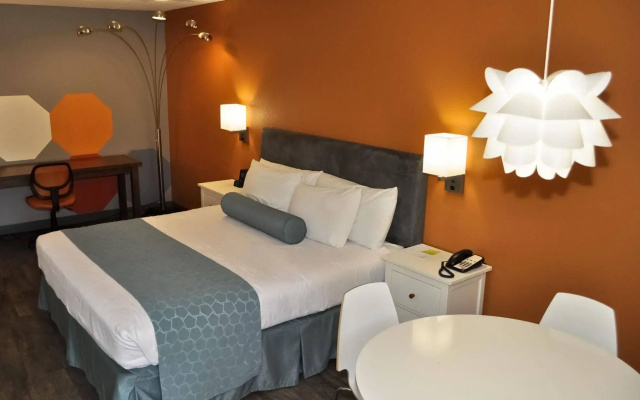 Infusion Beach Club