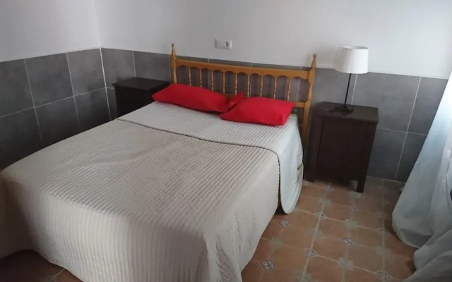 Palmar 0