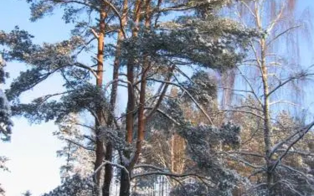 Усадьба Машин Хутор