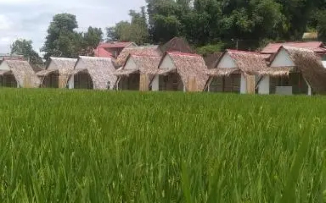 Bamboo Shack