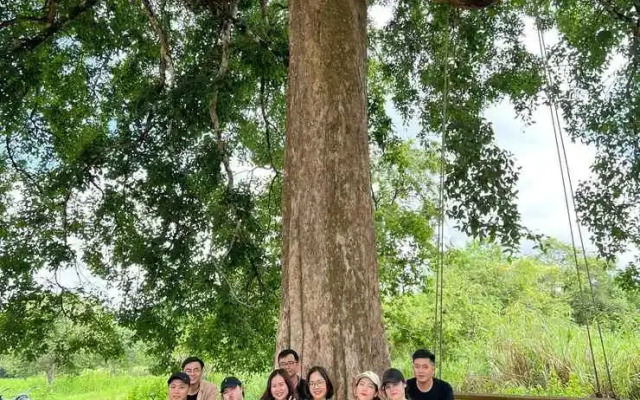 Lava Rock Viet Nam Lodge