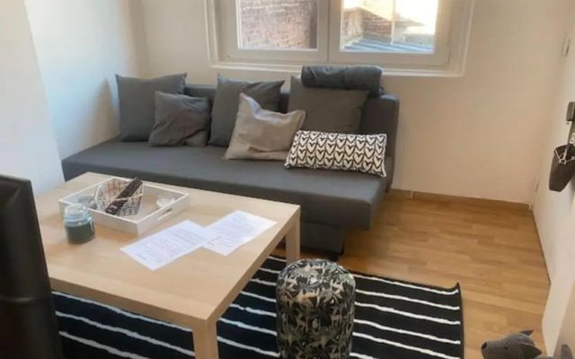 appartement cosy