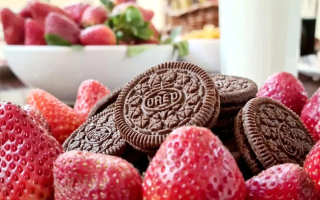 OREO VILLA with AC