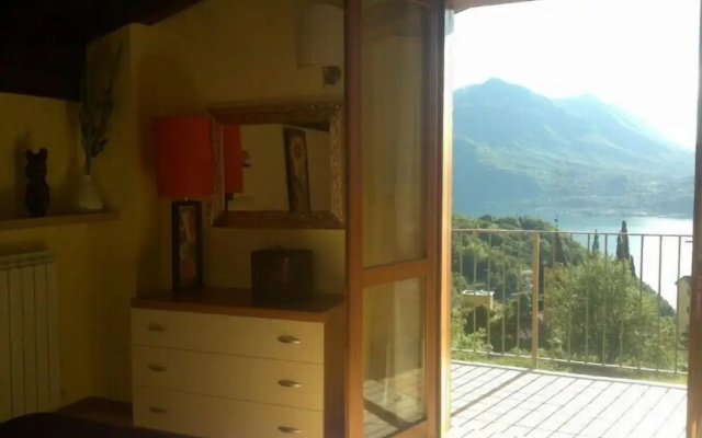 Alla Vigna Panoramica
