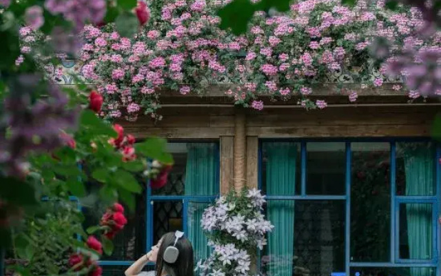 Ting Hua • Snow Mountain View Resort (Lijiang Ancient Town Branch)