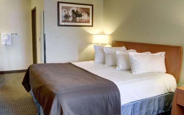 Quality Inn