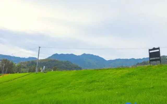 Tonglu Qiting Liuzhu Homestay