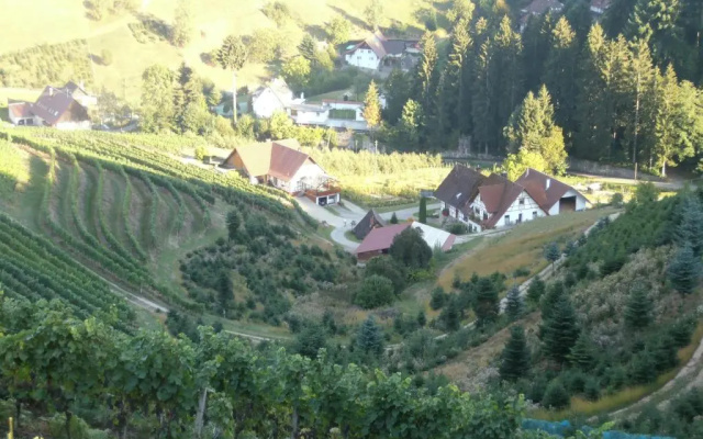 Steinhof