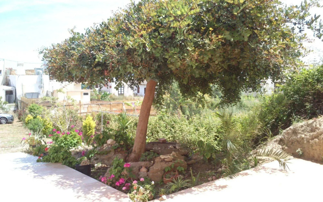 Kalimera Hotel Agia Marina