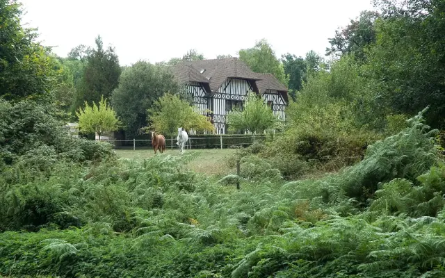 Château dArgeronne "Le Pommier Doux"