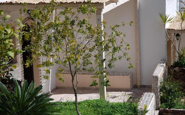 Quiet Place With Efflorescent Garden