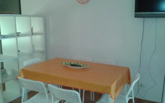 Pitosforo - Ulivo - Cocco