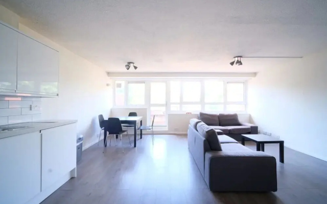 Spacious 3 Bedroom Apartment in Battersea With Terrace