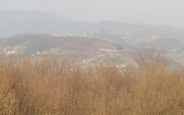 Zuta Kuca Sunca
