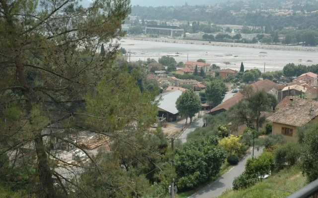 La vigne sous les pins