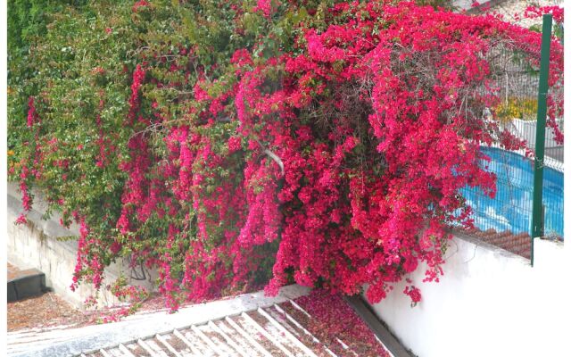 Отель Sunny Lisbon - Guesthouse and Residence вид на фасад