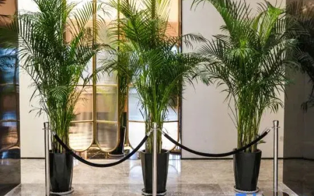 Taiyuan Manlan Hotel Jinyang  Lake  branch
