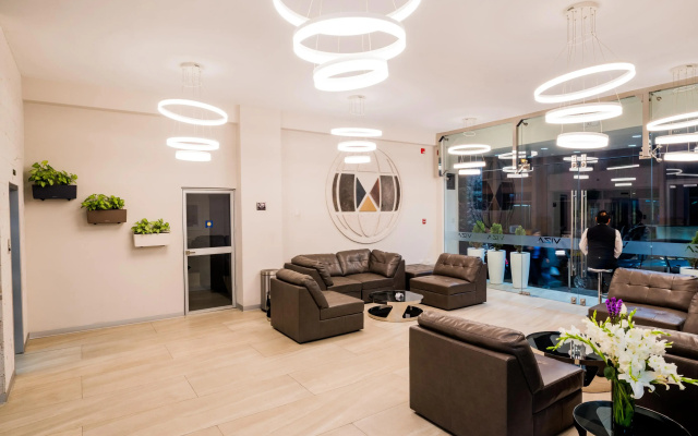 Hotel Viza
