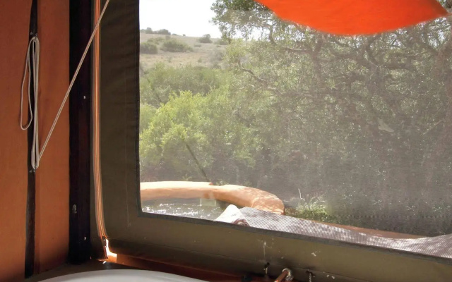 The Safari Lodge