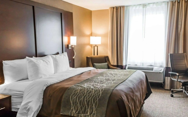 Comfort Inn & Suites Pharr - McAllen
