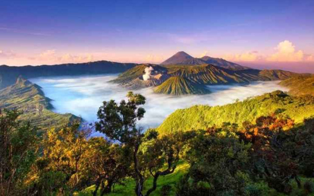 Homestay Ricky 2 Gunung Bromo