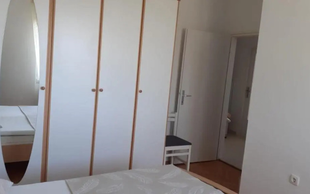 Apartment Viki