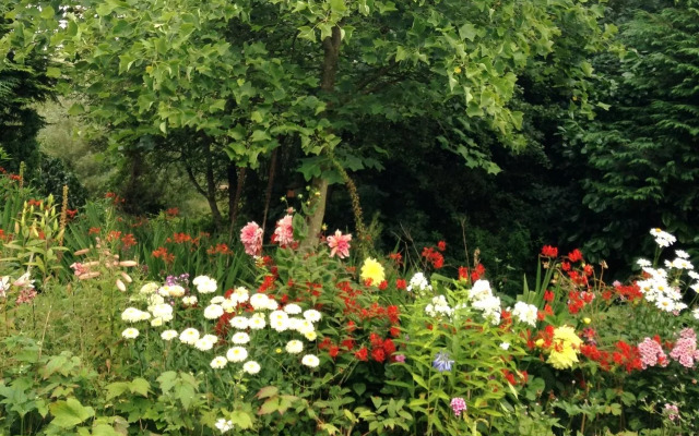 The Willows Bed & Breakfast