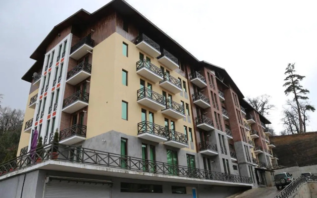 Davit Agmashenebeli N 21