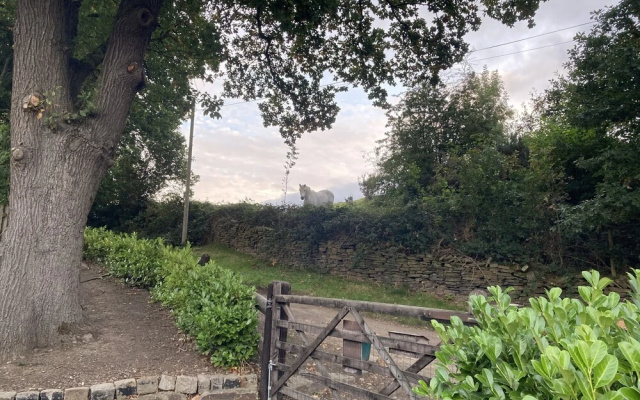 Pingle Nook Farm, Denby Dale