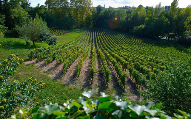 Château Belles Graves