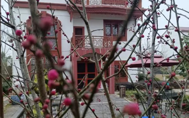 Jinxi Xiangshe Homestay