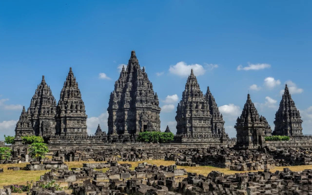 Jogja Amazon Green
