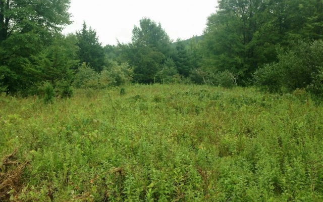 Tentrr - Clove Mountain Meadow