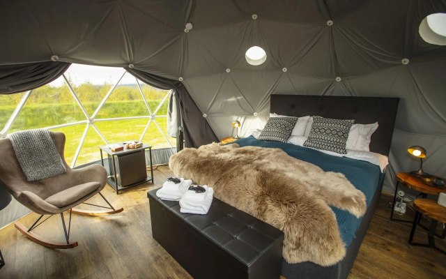 Reykjavik Domes