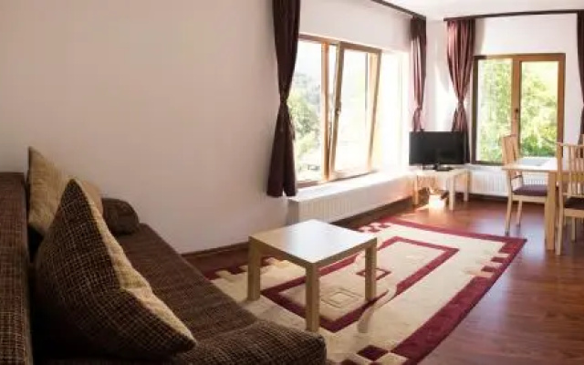 Vila de vacanta Alma Azuga