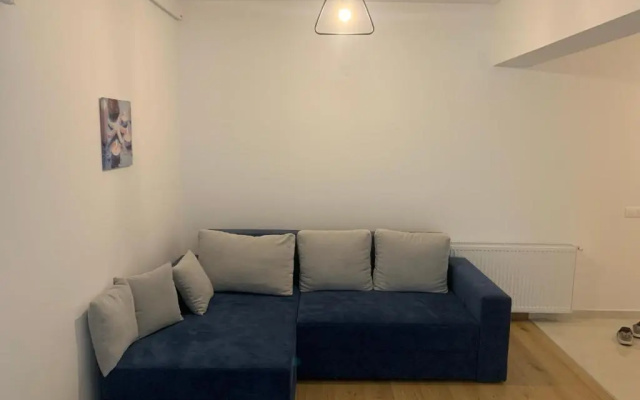 Ioana Home