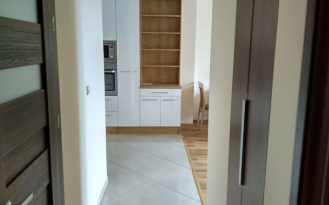 Modern Apartment