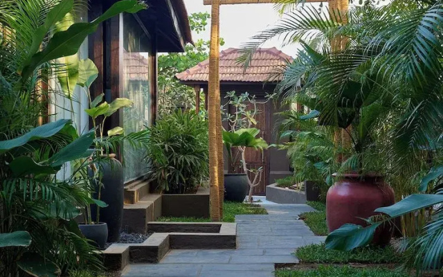 Red Thread Morjim