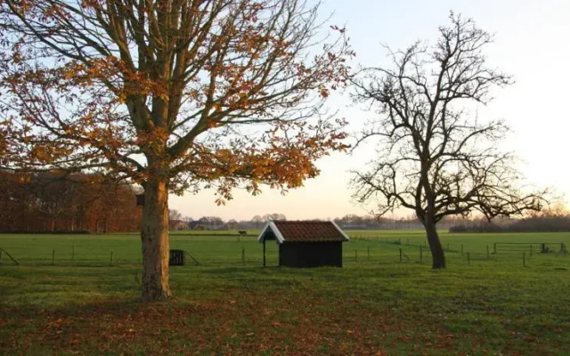 Bed and breakfast Het Hagenhuus