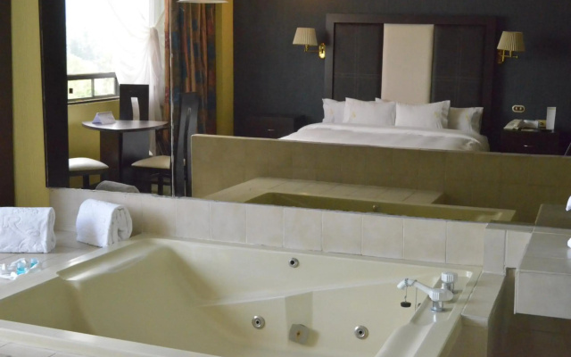 Hotel Real del Sur