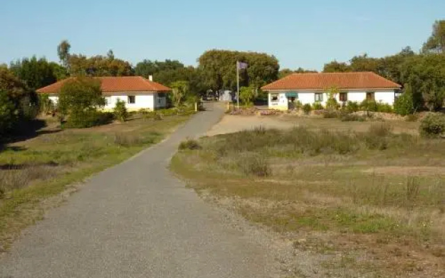Markádia