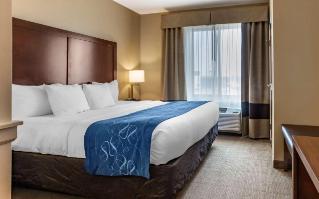 Comfort Suites Airport - University
