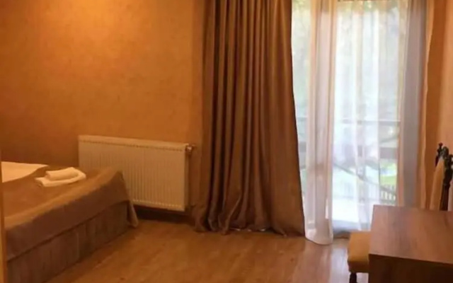 Отель Gera