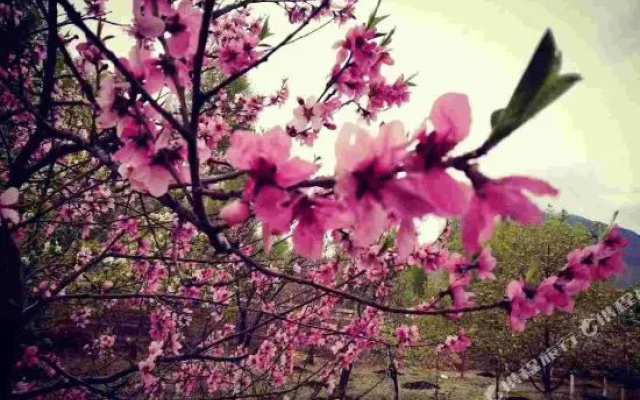Chuixiang Rural Guesthouse