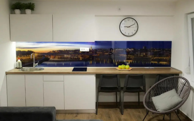 St.Sava apartment