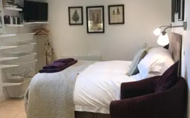 The Burrow