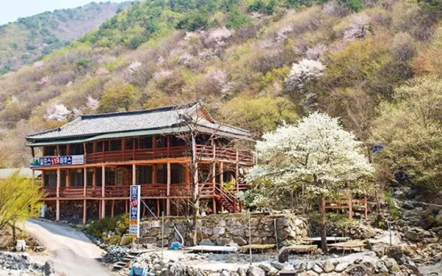Ulsan (Baenaegol) Alps 119 Pension