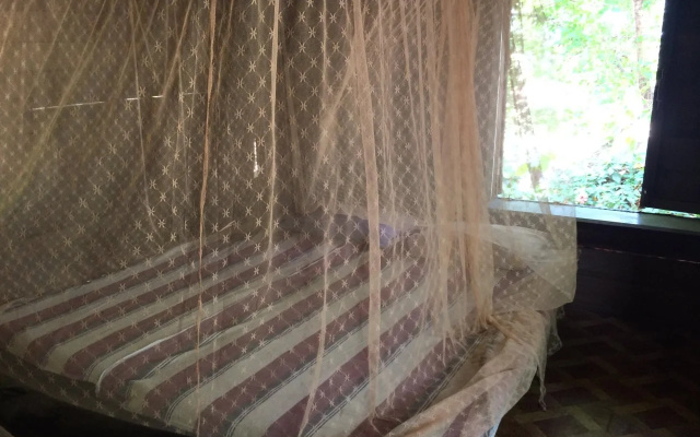 Beach Hut