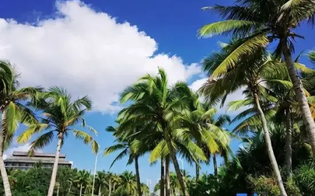 Shanyuhai Homestay (Wenchang Qishuiwan Branch)