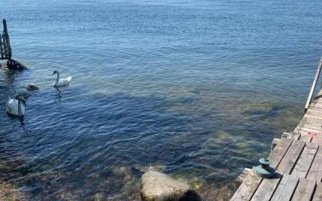 Charmig stuga av rustik stil i Stockholms område